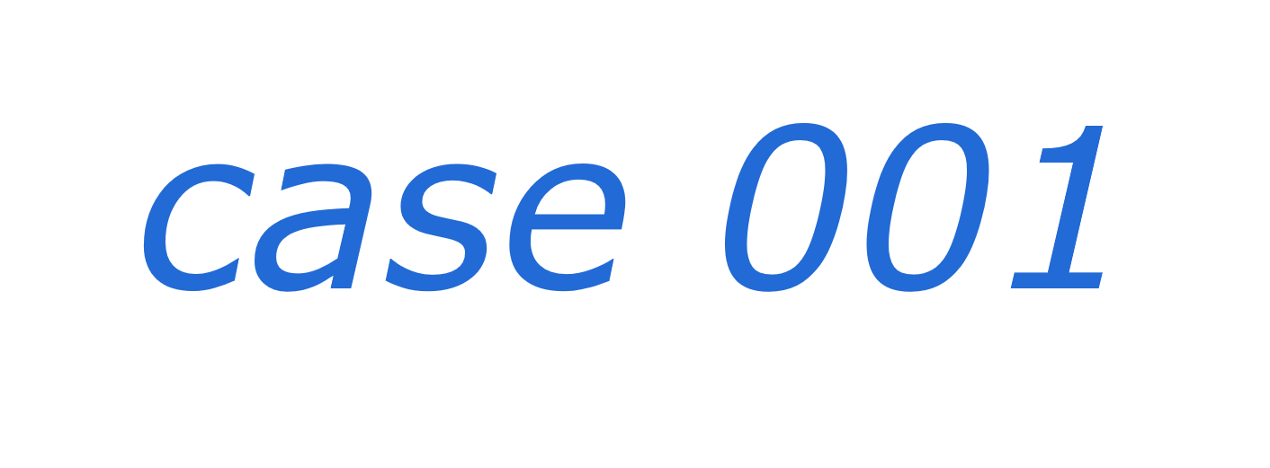 case 01