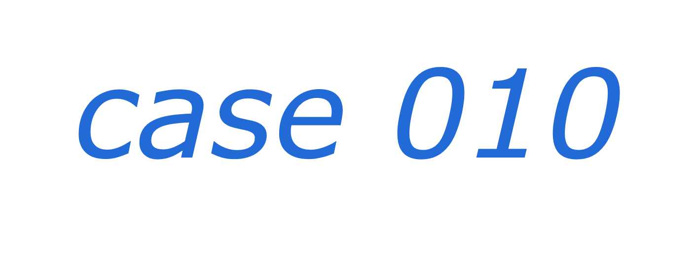 case 10