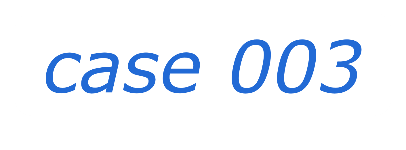 case 03