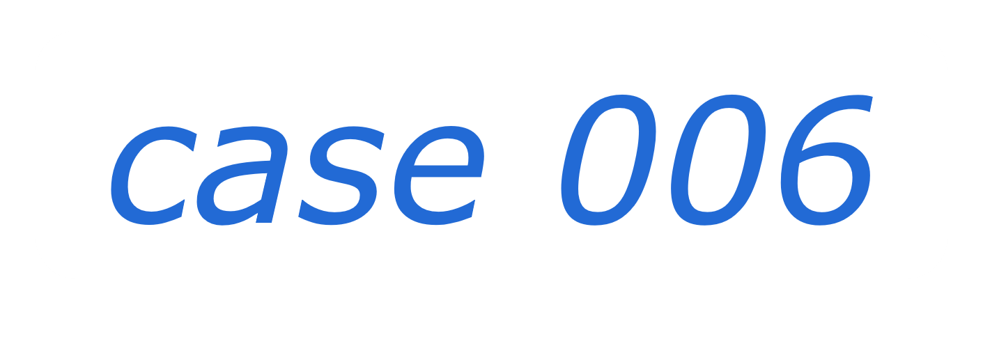 case 06