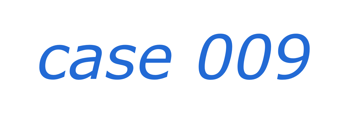 case 09