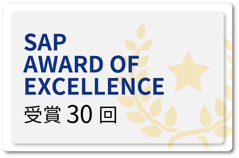 SAP AWARD OF EXCELLENCE 受賞 30 回
