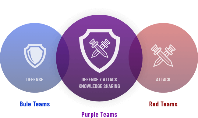 Blue Team/Purple Team/Red Team